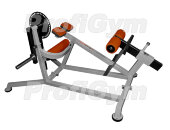 "Маятник" пресса и спины ProfiGym ТД-0250-D