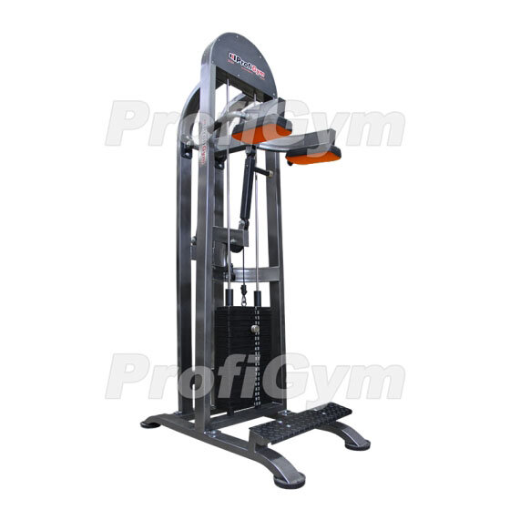 Голень машина стоя (100 кг) ProfiGym ТГ-0220-C