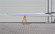 Лодка FILIPPI 2X, 2+, 2-