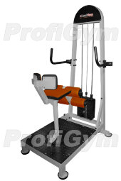 Торс-машина (60 кг) ProfiGym ТГ-0370-C Торс-машина (60 кг) ProfiGym ТГ-0370-C